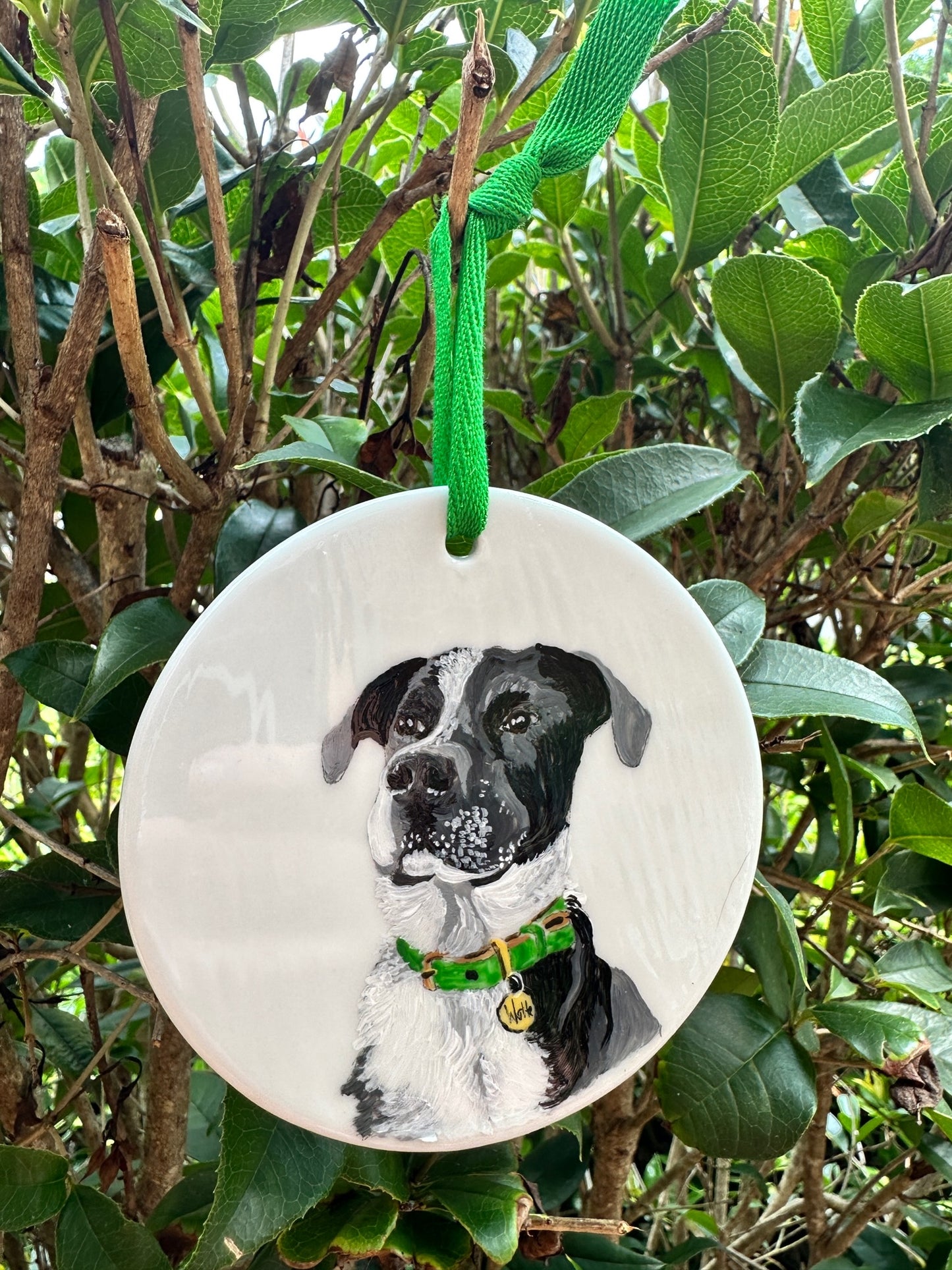 Custom Pet 4" Porcelain Ornaments