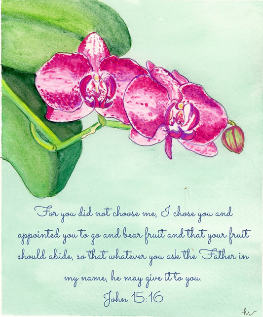 Orchid: John 15:16