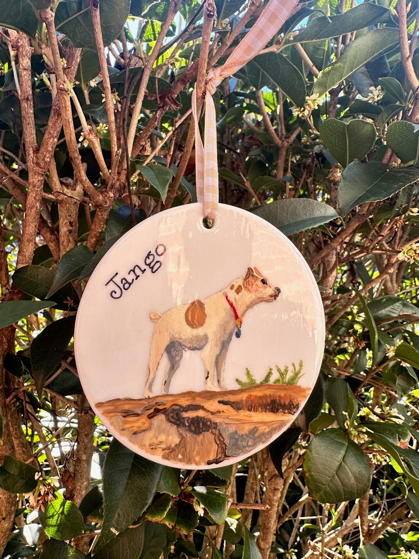 Custom Pet 4" Porcelain Ornaments