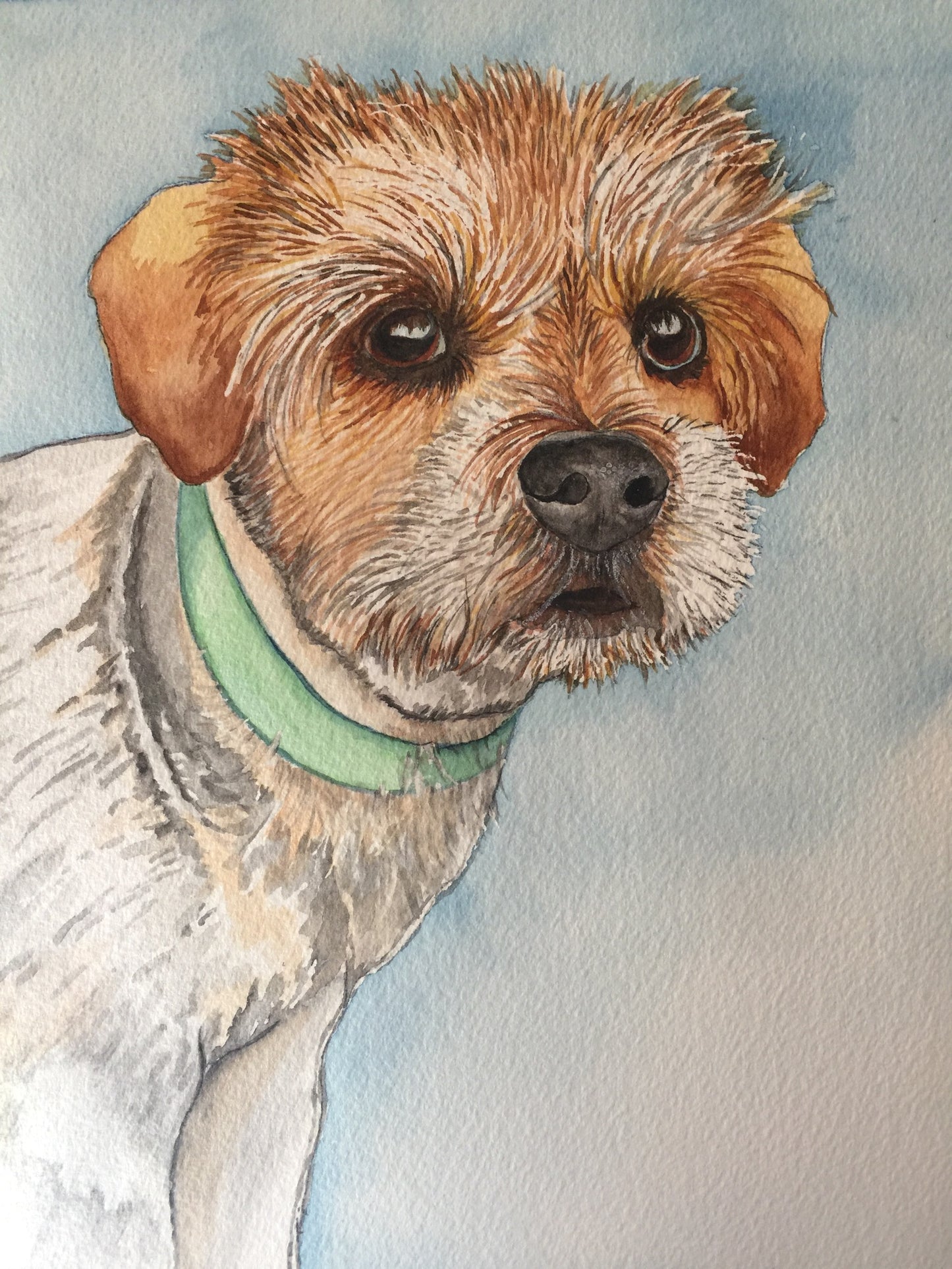 Pet Portrait Commissions