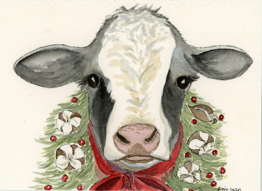 Cotton the Christmas Cow