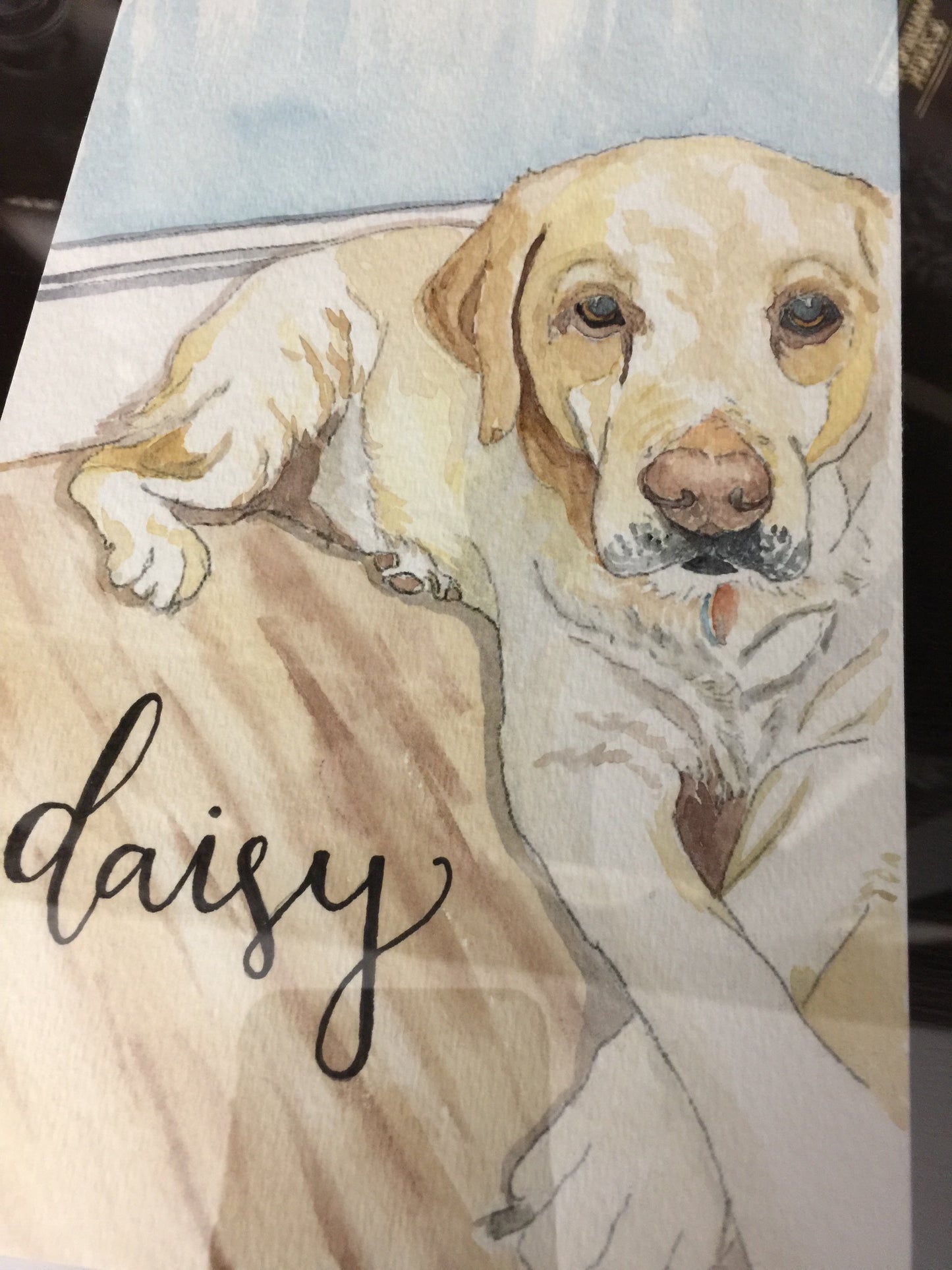 Pet Portrait Commissions