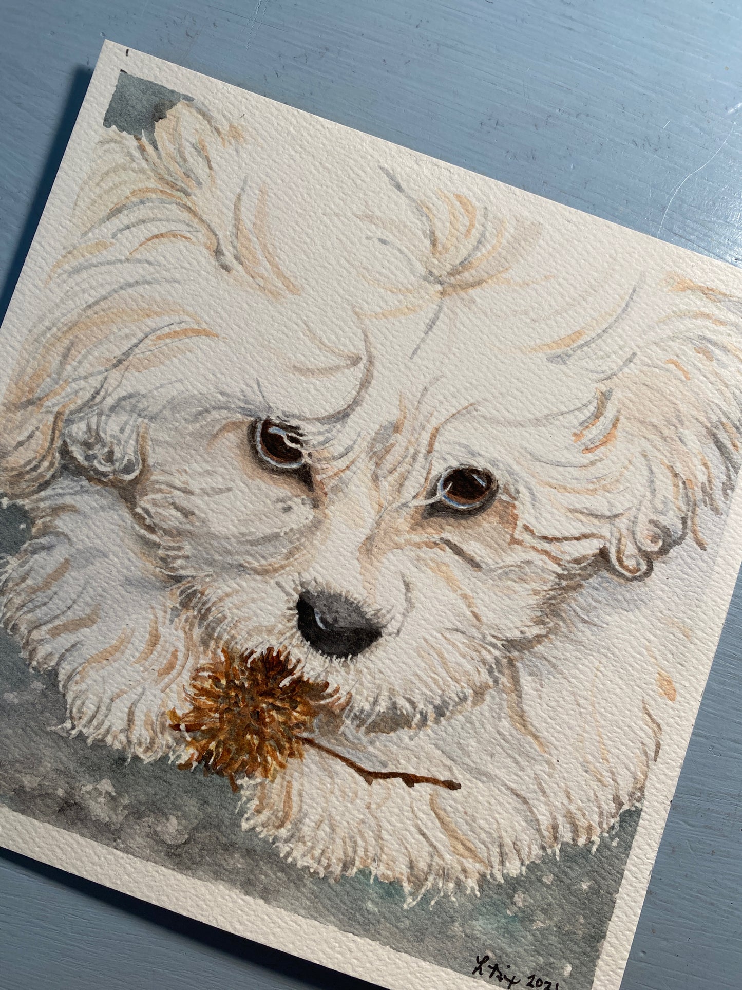 Pet Portrait Commissions