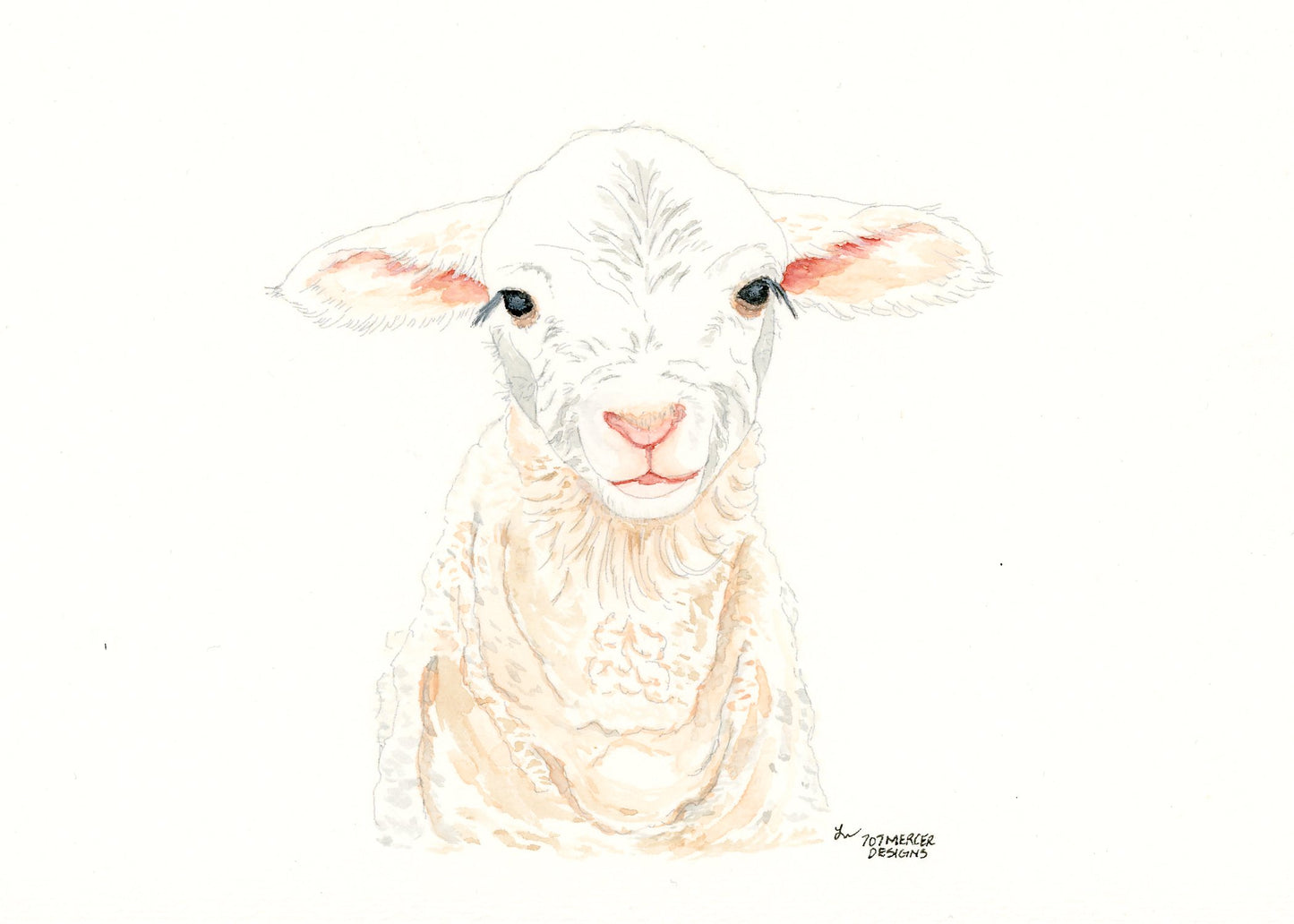 Lucy the Lamb