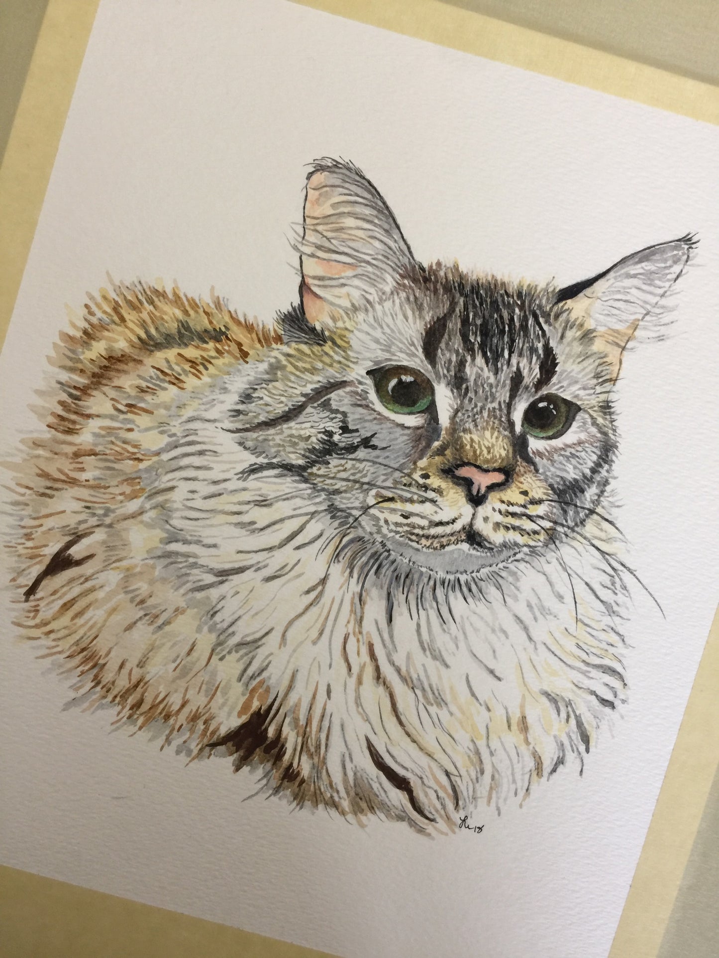 Pet Portrait Commissions