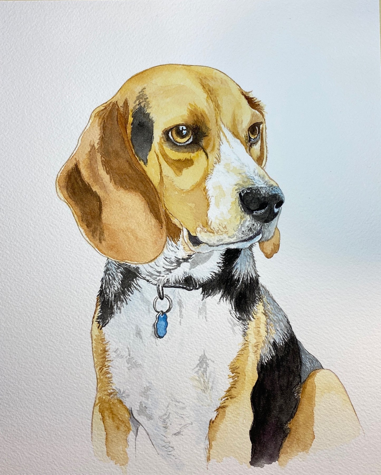 Pet Portrait Commissions